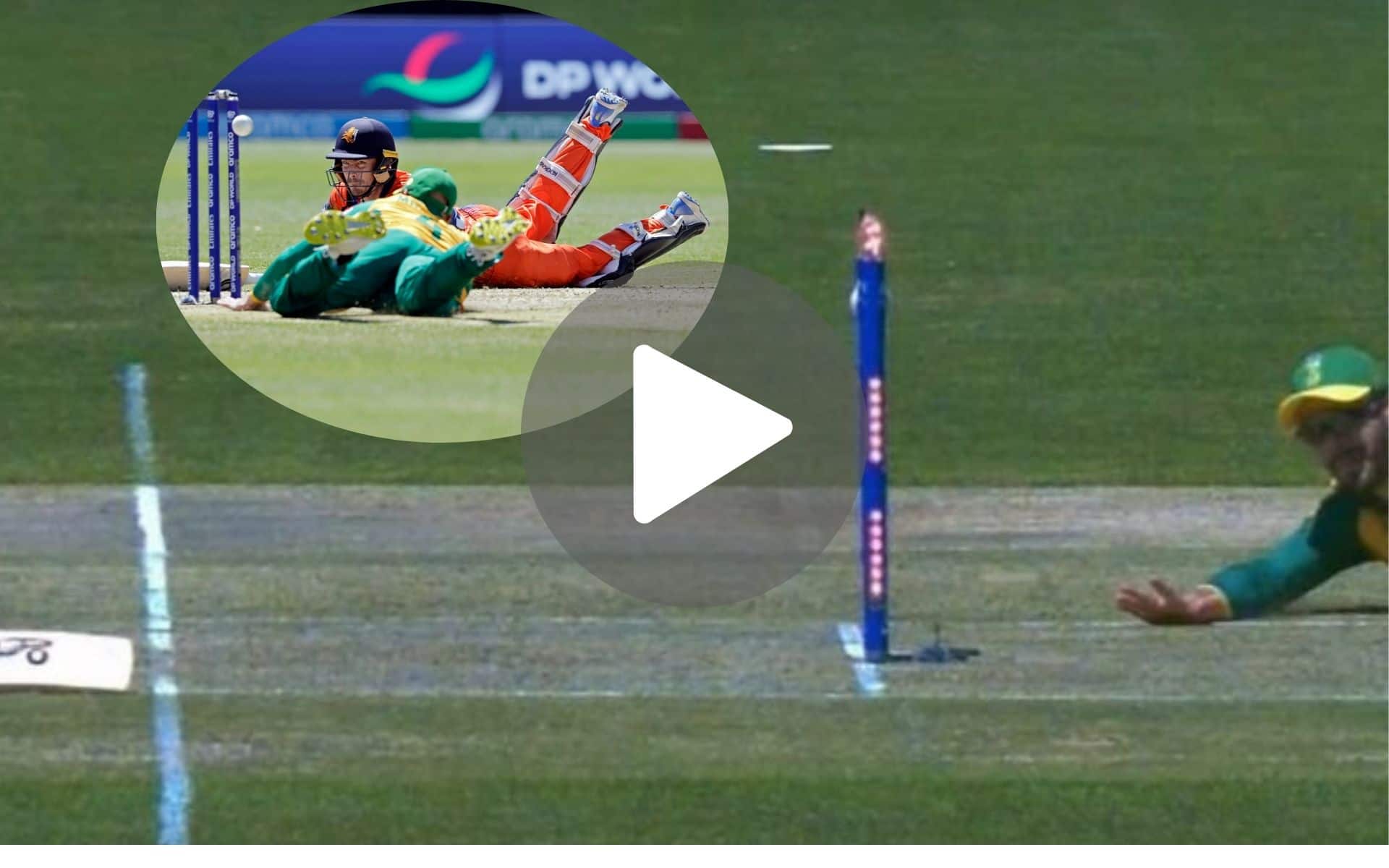 [Watch] Aiden Markram Goes Insane With The Best Run Out Of T20 World Cup 2024 Vs NED